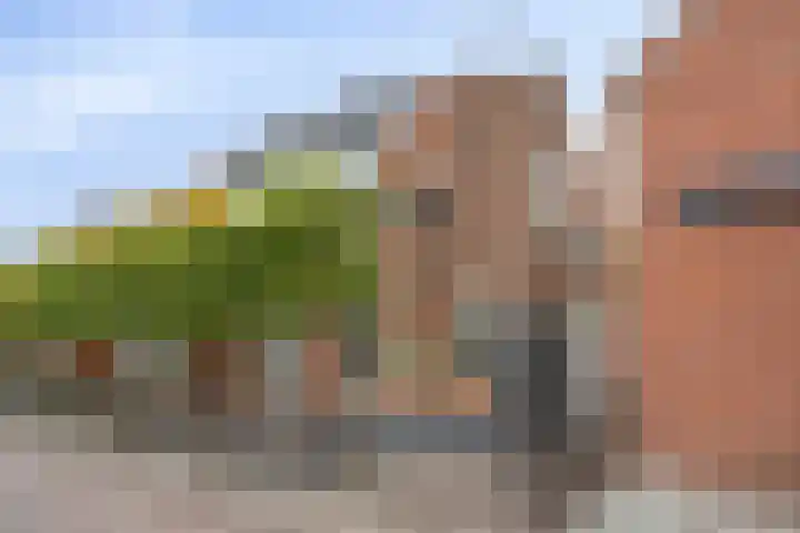 Burgemeester Hagelaan 18 Bruinisse thumbnail 43