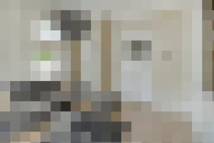Burgemeester Hagelaan 18 Bruinisse thumbnail 5