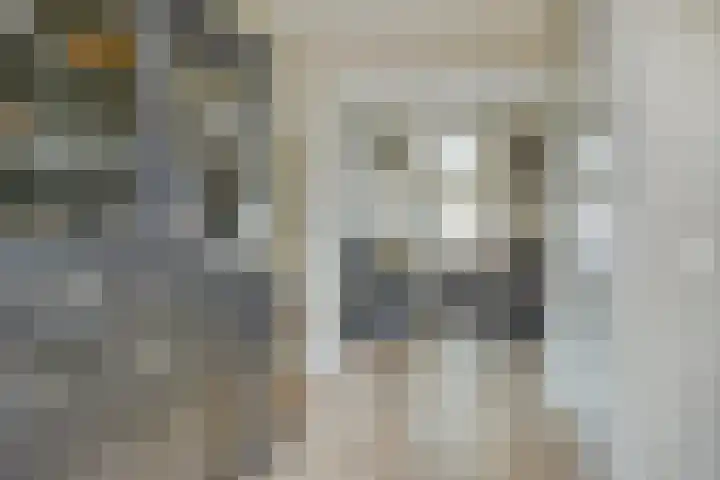 Burgemeester Hagelaan 18 Bruinisse thumbnail 9