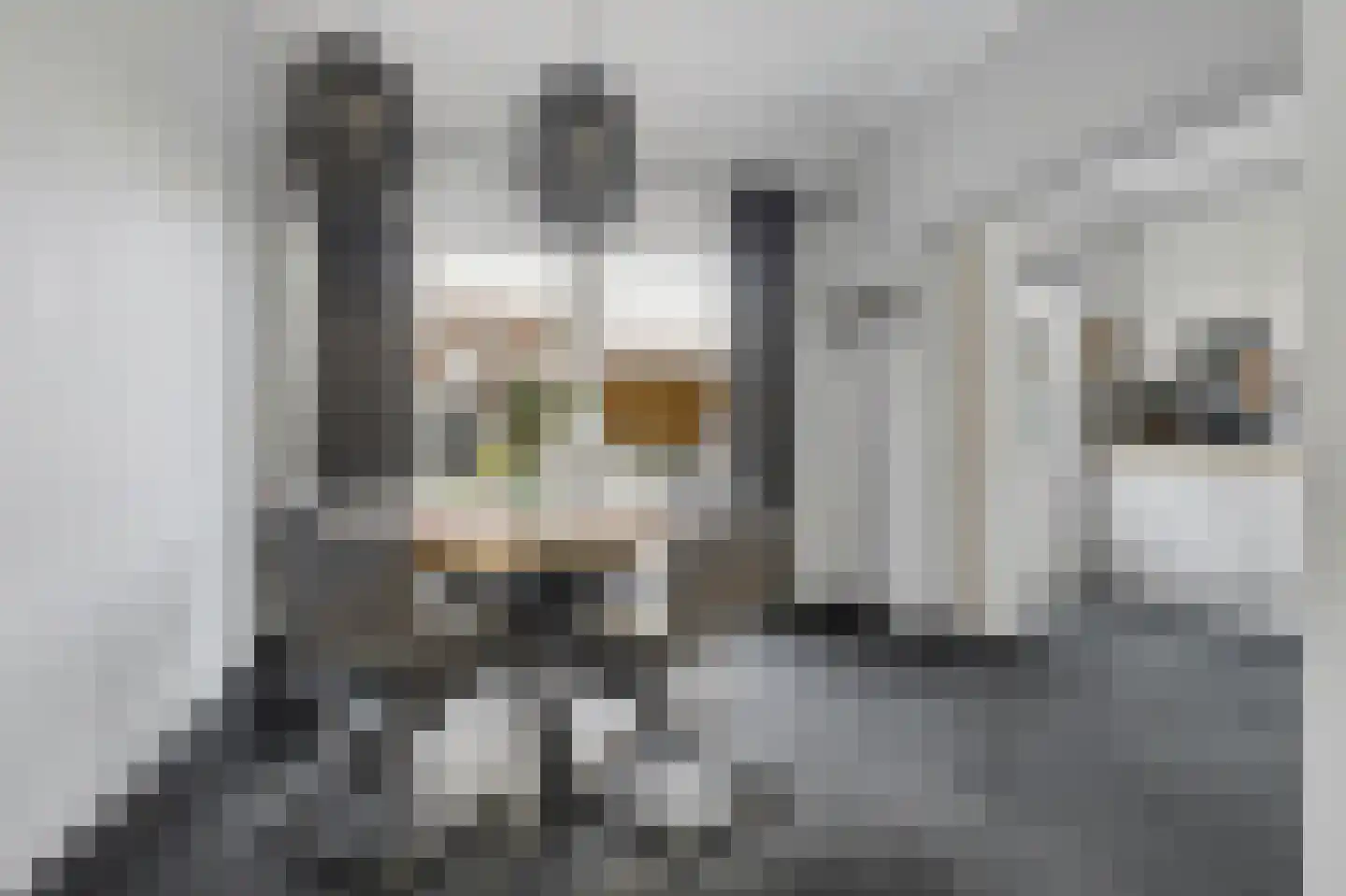 Burgemeester Hagelaan 19 Bruinisse thumbnail 11