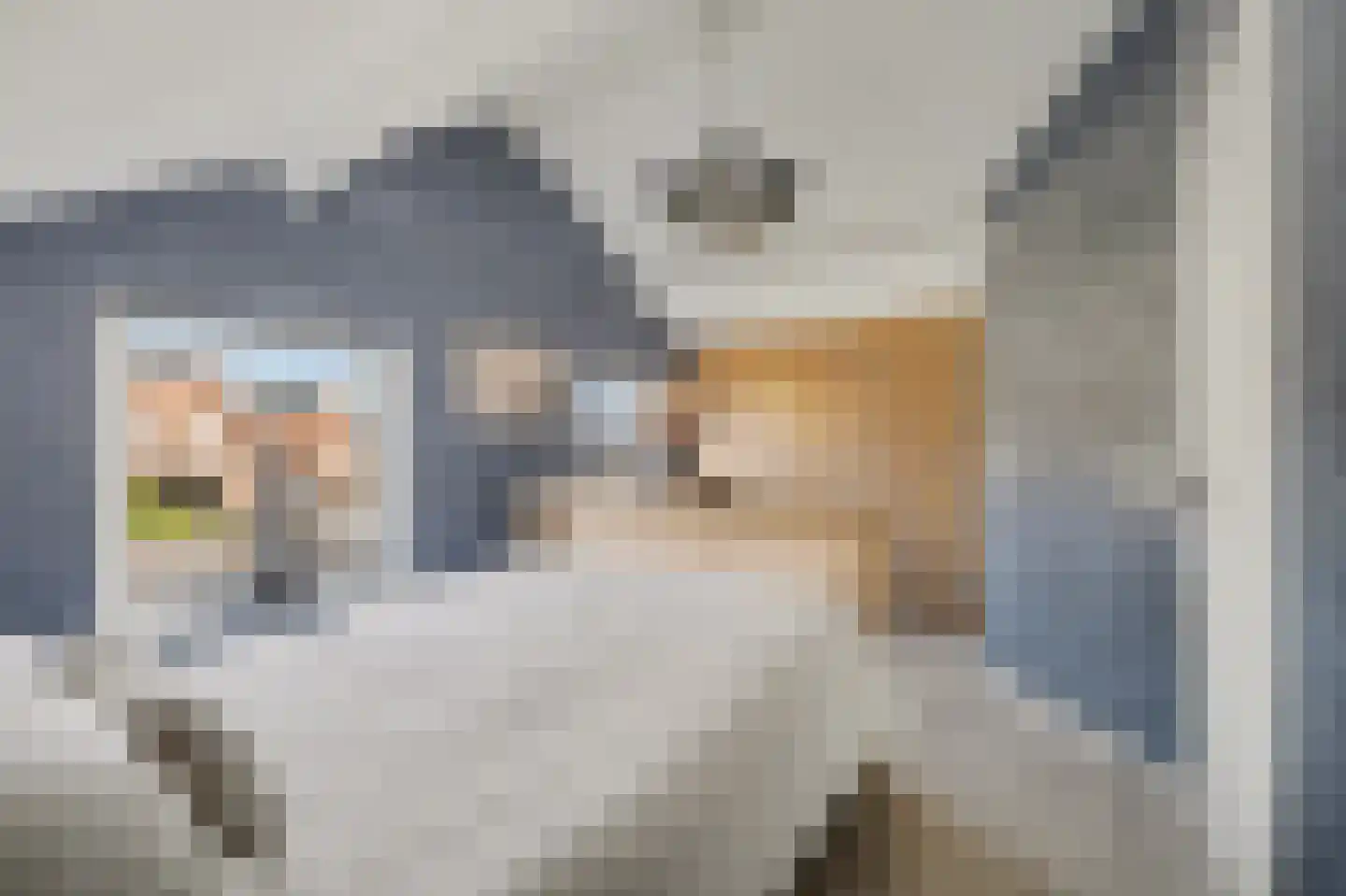 Burgemeester Hagelaan 19 Bruinisse thumbnail 15