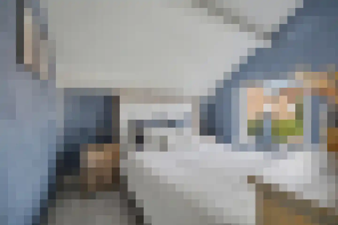 Burgemeester Hagelaan 19 Bruinisse thumbnail 16
