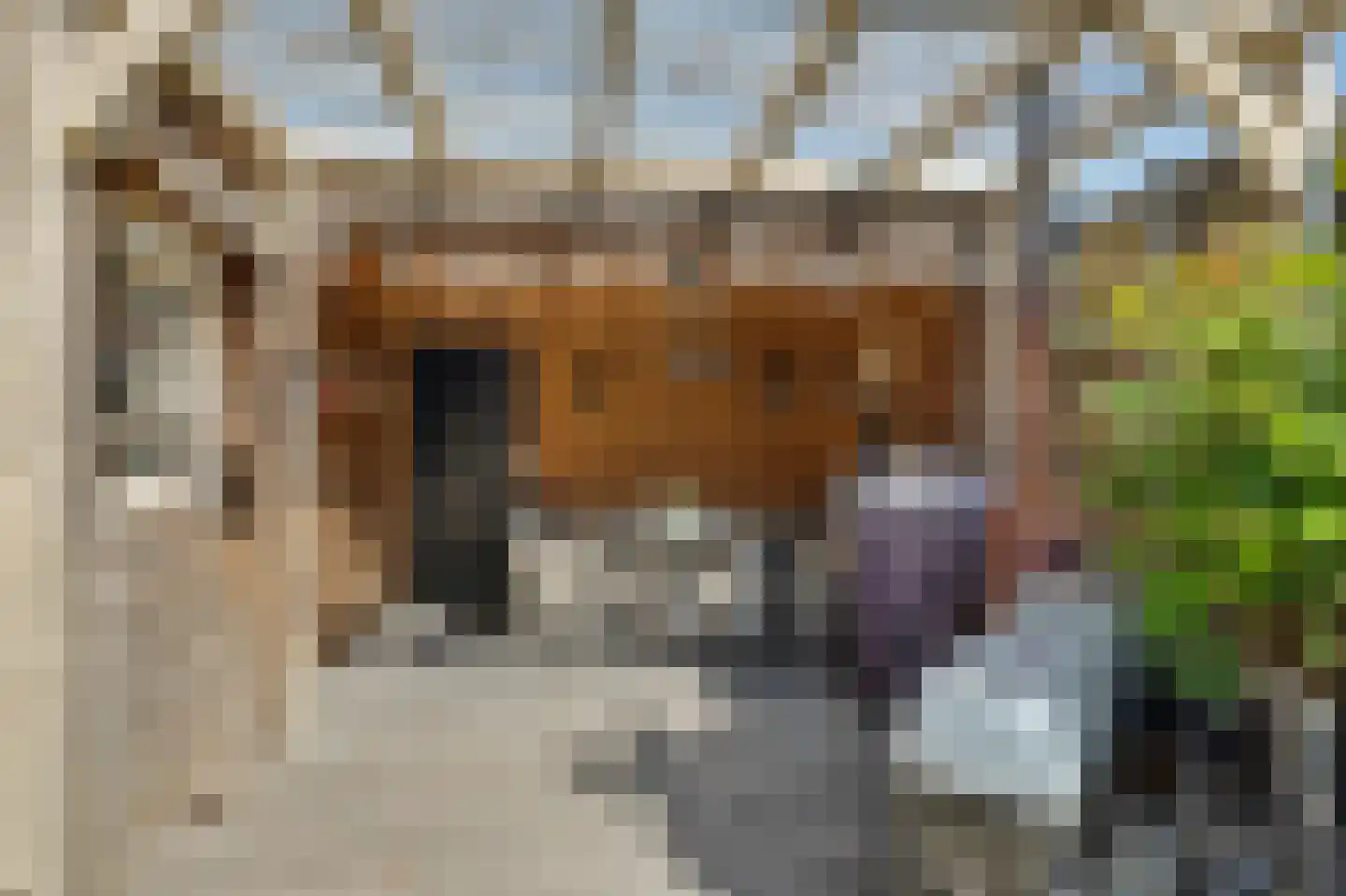 Burgemeester Hagelaan 19 Bruinisse thumbnail 26