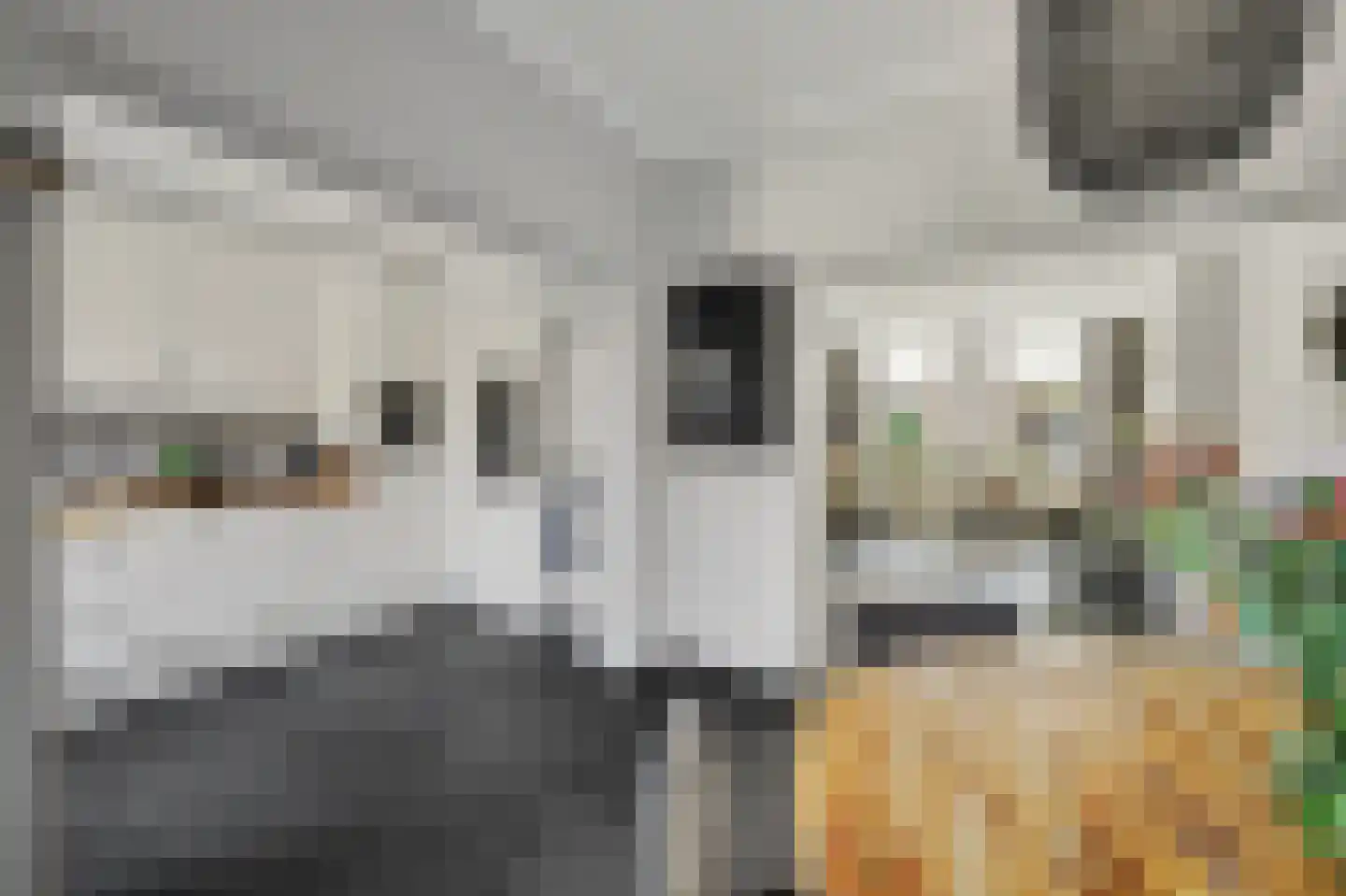 Burgemeester Hagelaan 19 Bruinisse thumbnail 5