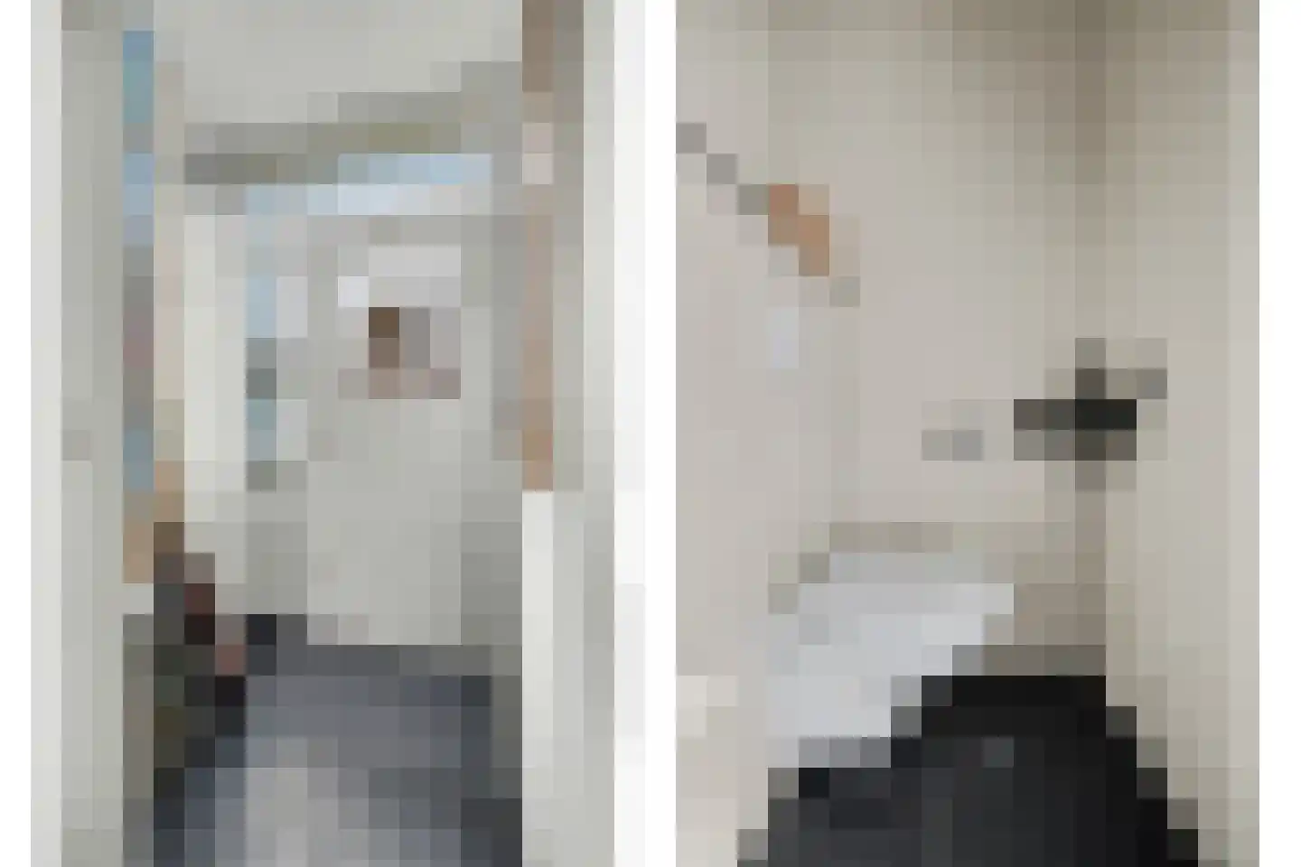 Burgemeester Hagelaan 19 Bruinisse thumbnail 8