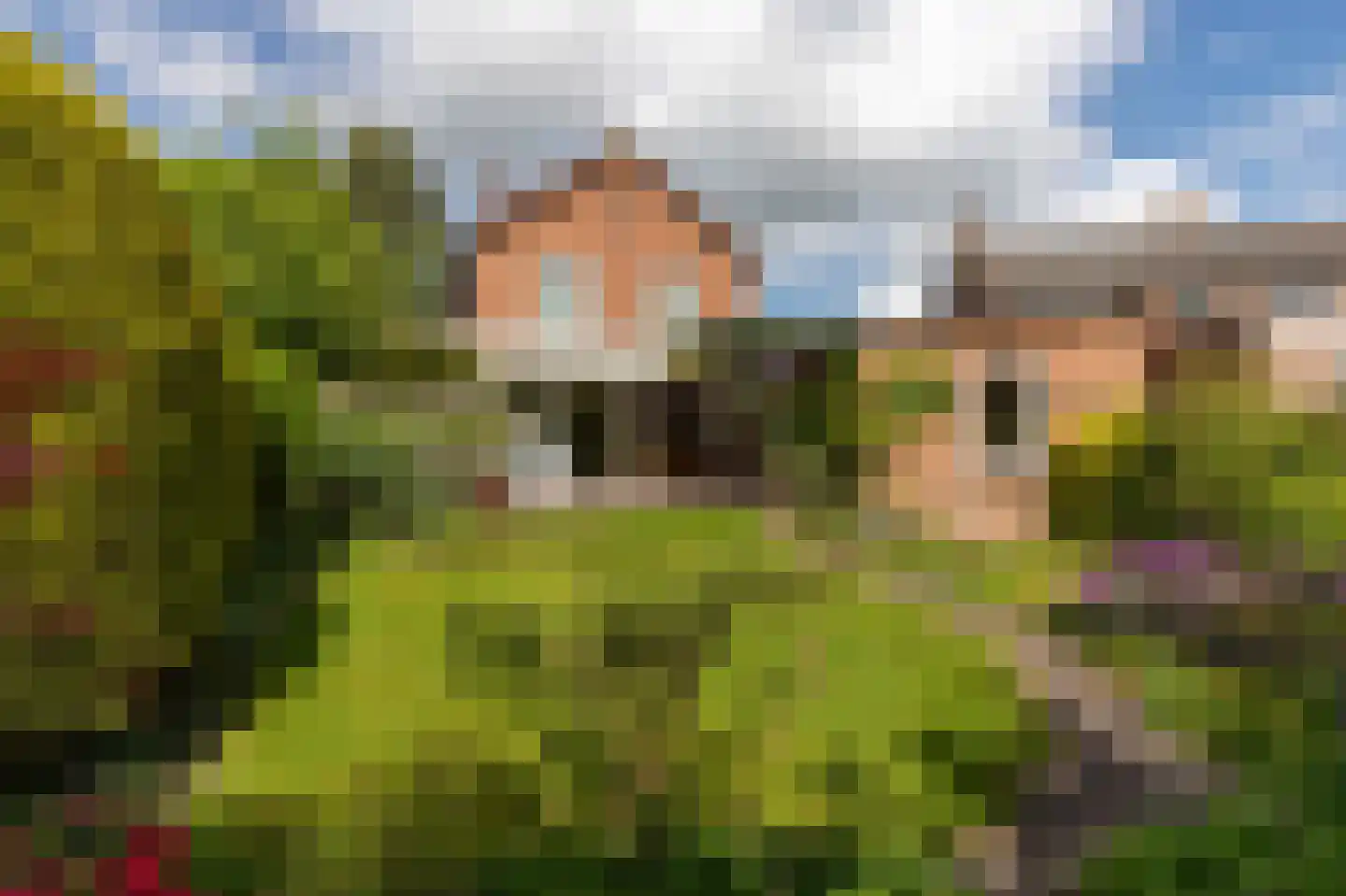 Burgemeester Harmen Geerts Reinenstraat 2 Steenwijk thumbnail 57