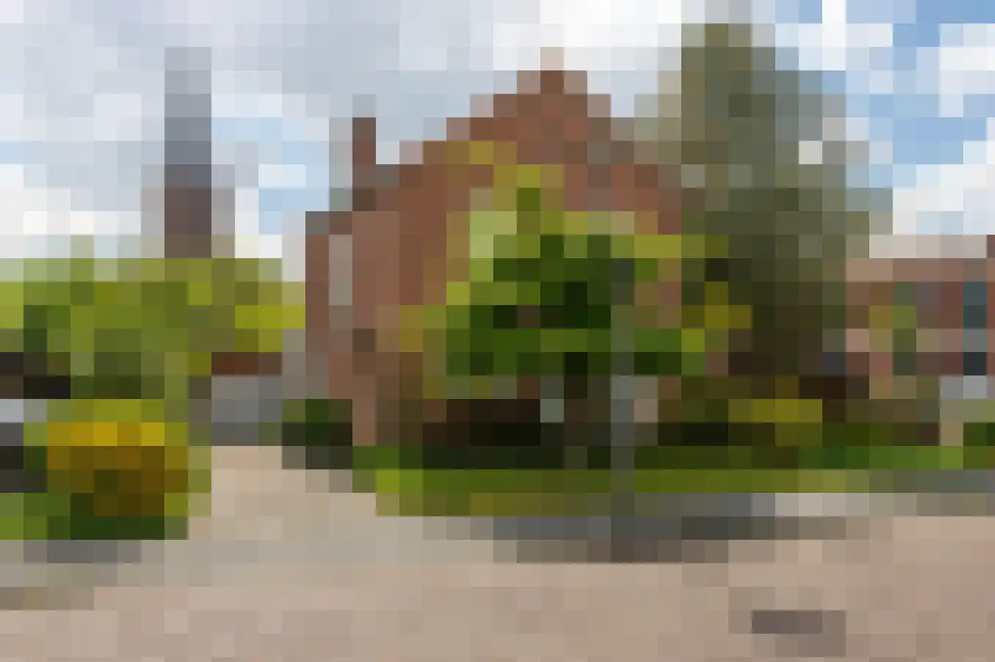 Burgemeester Harmen Geerts Reinenstraat 2 Steenwijk thumbnail 66
