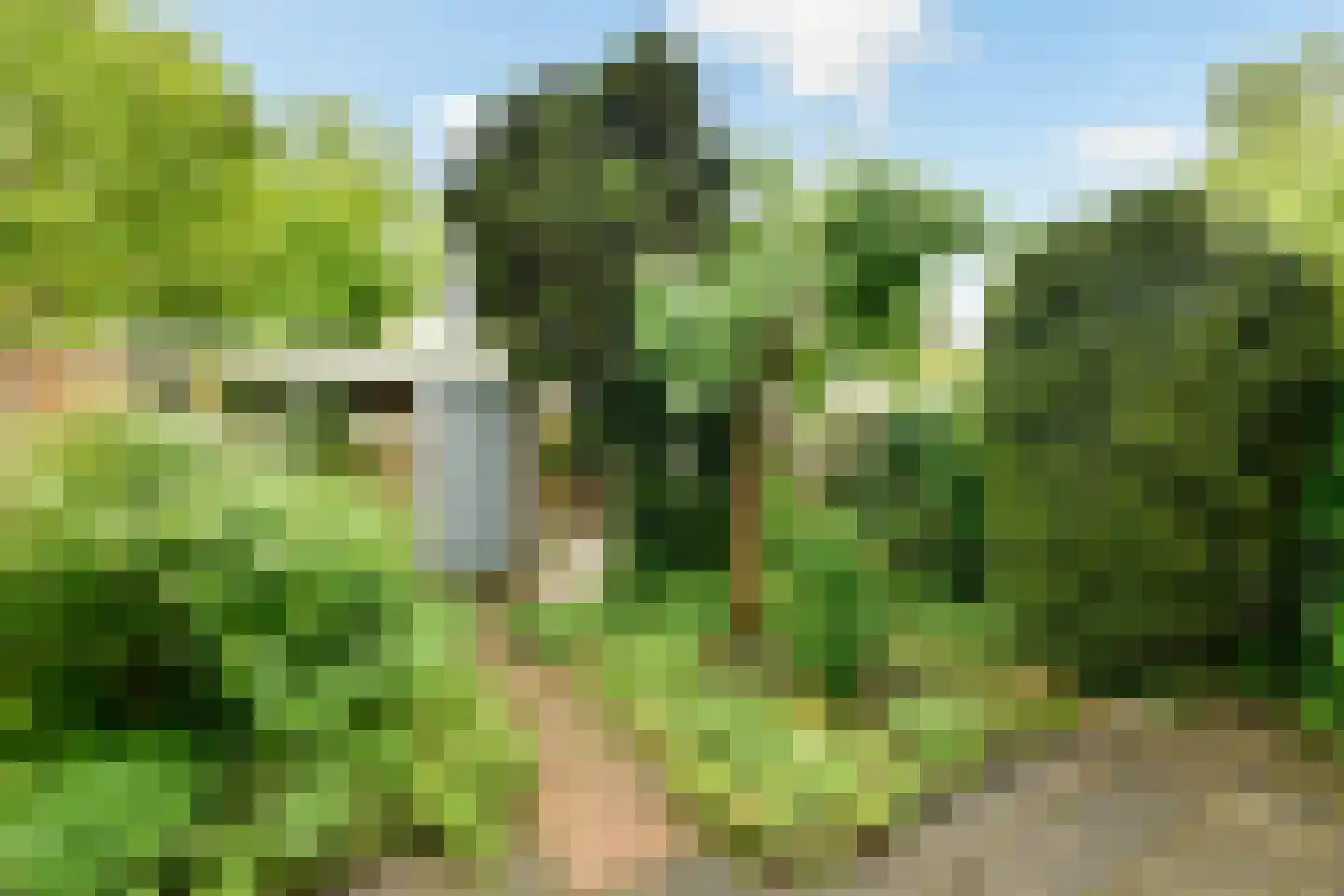 Burgemeester Haspelslaan 212 Amstelveen thumbnail 10