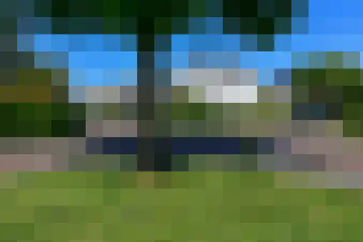 Burgemeester Haspelslaan 342 Amstelveen thumbnail 32
