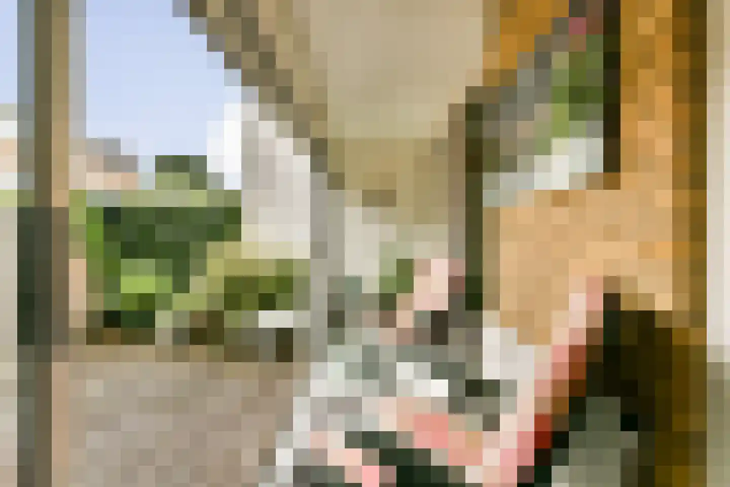 Burgemeester Haspelslaan 360 Amstelveen thumbnail 13