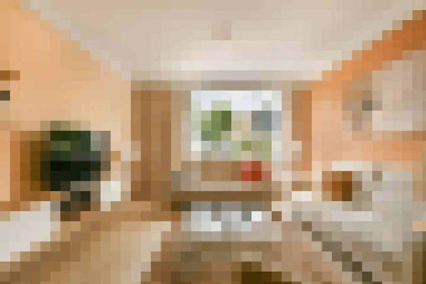 Burgemeester Haspelslaan 360 Amstelveen thumbnail 7