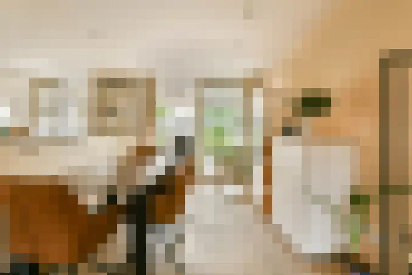 Burgemeester Haspelslaan 360 Amstelveen thumbnail 9