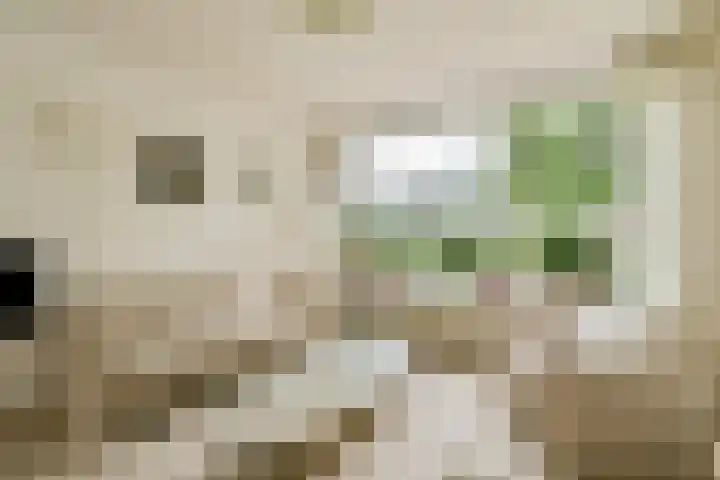 Burgemeester Haspelslaan 374 Amstelveen thumbnail 10