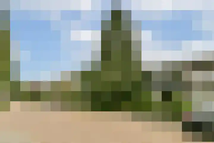 Burgemeester Haspelslaan 374 Amstelveen thumbnail 27