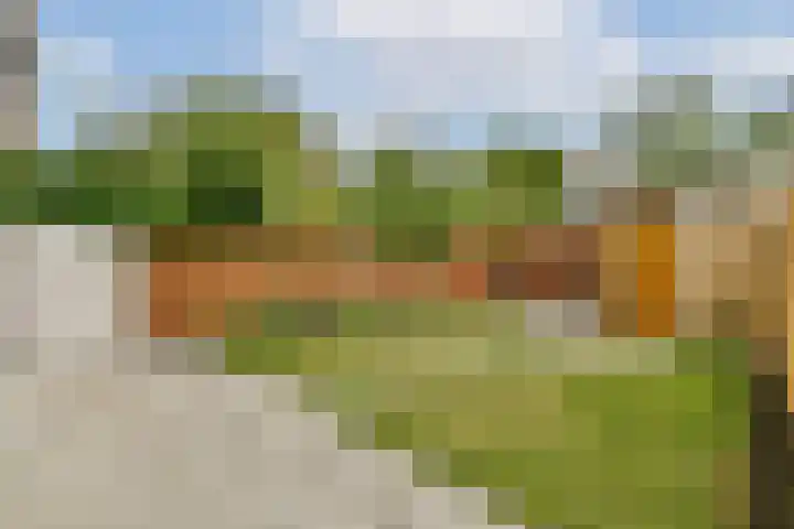 Burgemeester Haspelslaan 374 Amstelveen thumbnail 4