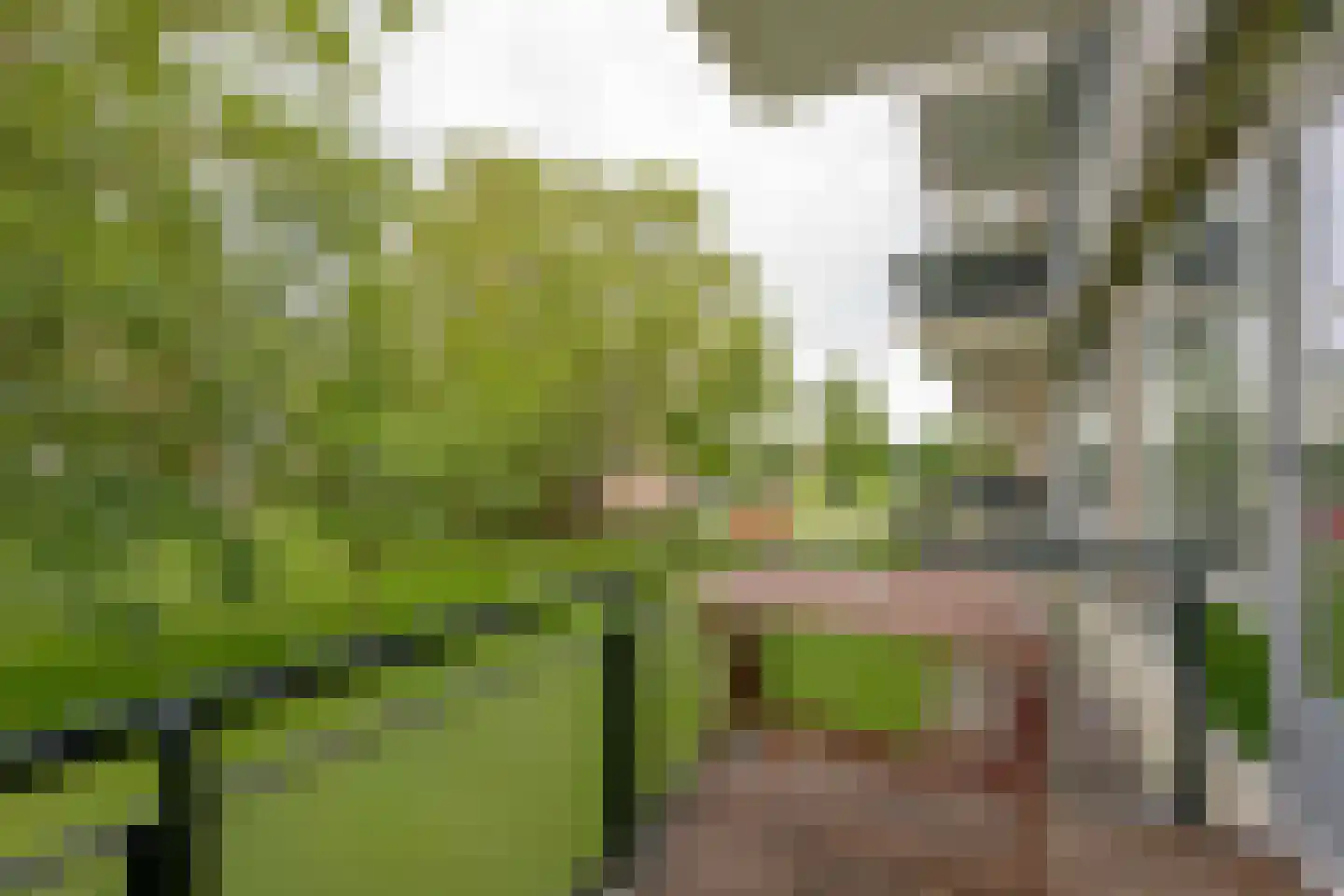 Burgemeester Hazenberglaan 277 Rotterdam thumbnail 5