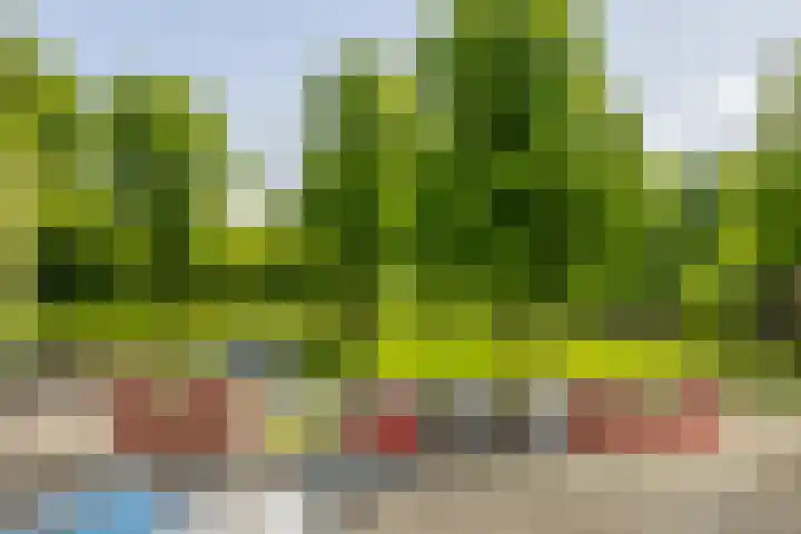 Burgemeester Hazenberglaan 49 Rotterdam thumbnail 11