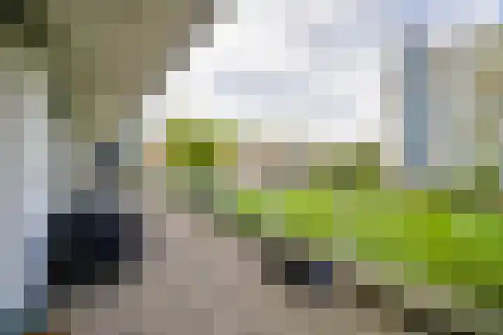 Burgemeester Hazenberglaan 49 Rotterdam thumbnail 31