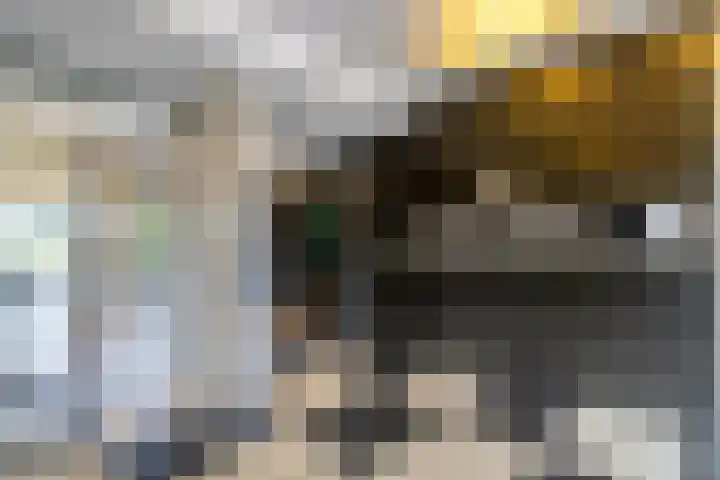 Burgemeester Hazenberglaan 49 Rotterdam thumbnail 34