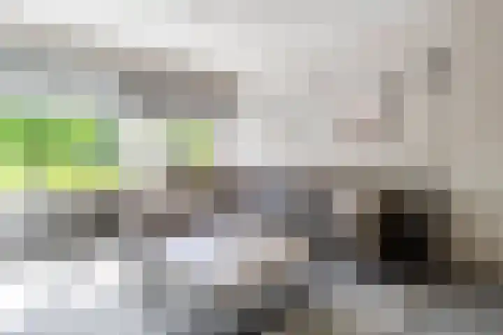 Burgemeester Hazenberglaan 49 Rotterdam thumbnail 6