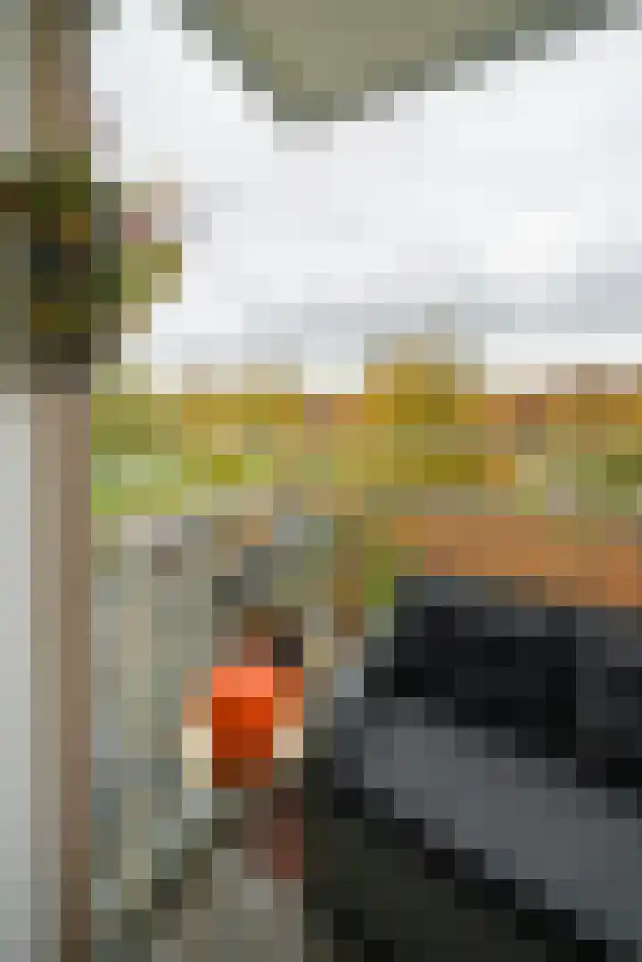 Burgemeester Hazenberglaan 99 Rotterdam thumbnail 22