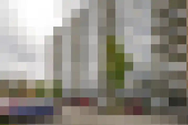Burgemeester Hazenberglaan 99 Rotterdam thumbnail 27