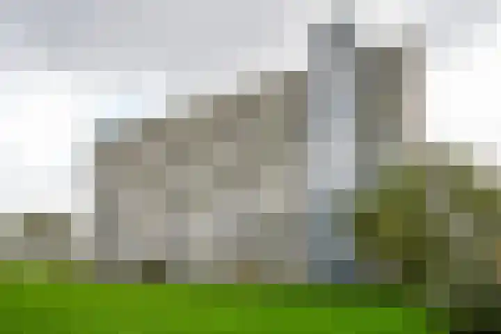 Burgemeester Hazenberglaan 99 Rotterdam thumbnail 31