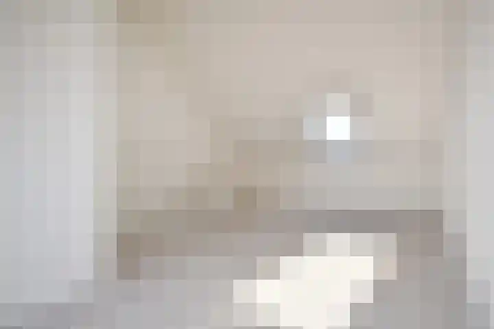 Burgemeester Hendrixstraat 43 Berkel en Rodenrijs thumbnail 29