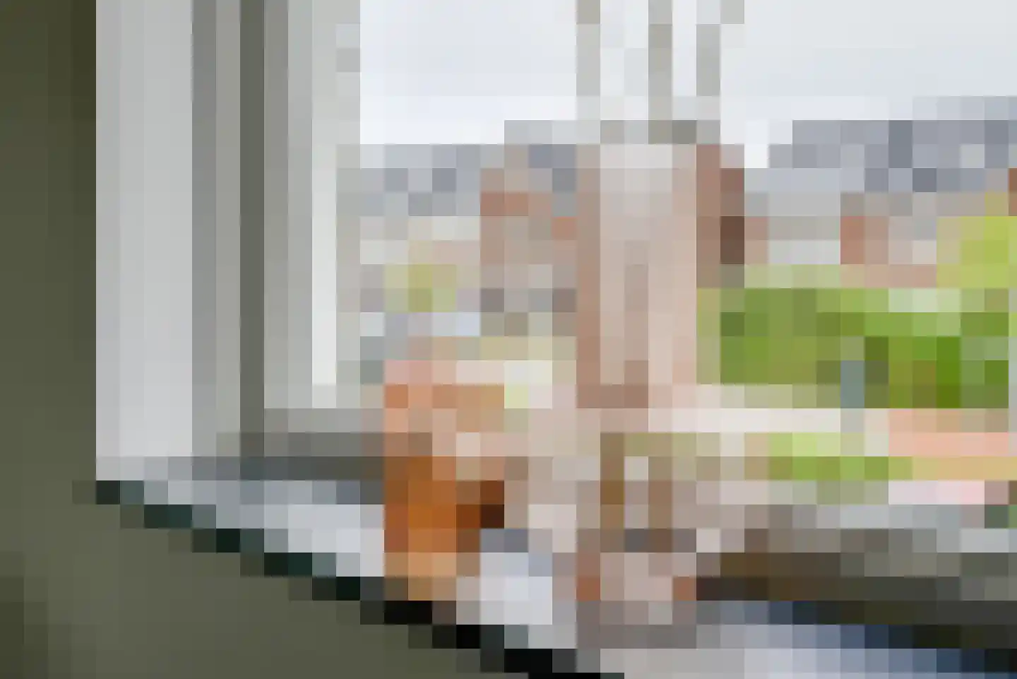 Burgemeester Hendrixstraat 67 Berkel en Rodenrijs thumbnail 33