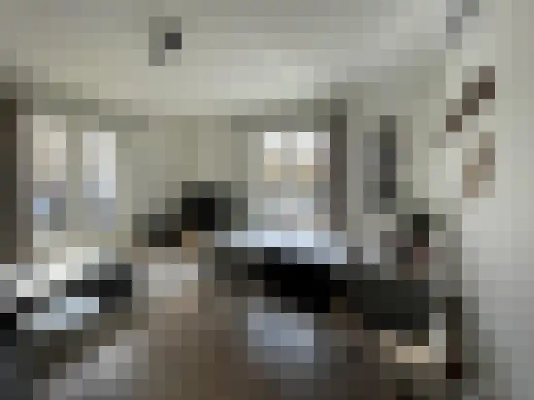 Burgemeester Hennequinstraat 41 Maastricht thumbnail 10