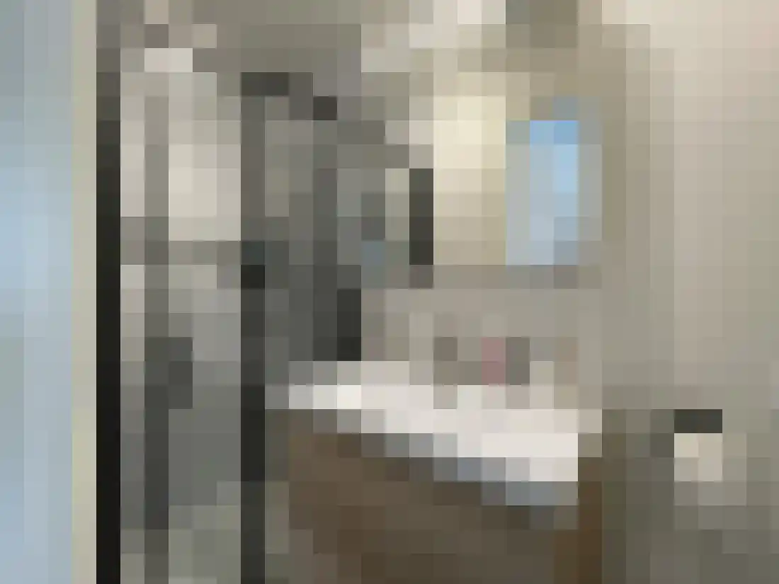 Burgemeester Hennequinstraat 41 Maastricht thumbnail 9