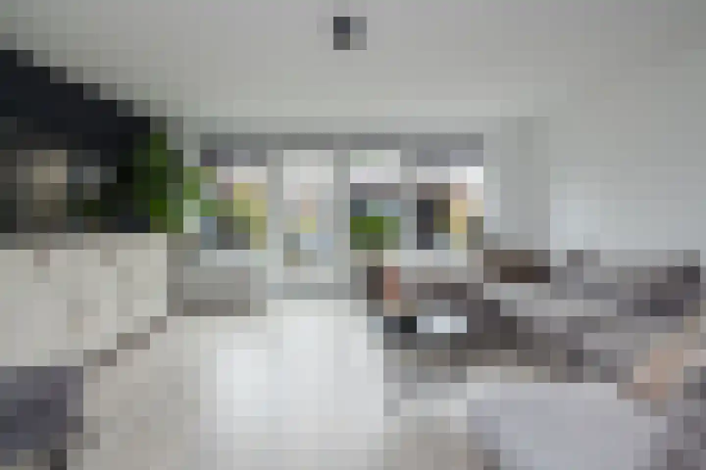 Burgemeester Hermanslaan 14 Hillegom thumbnail 4