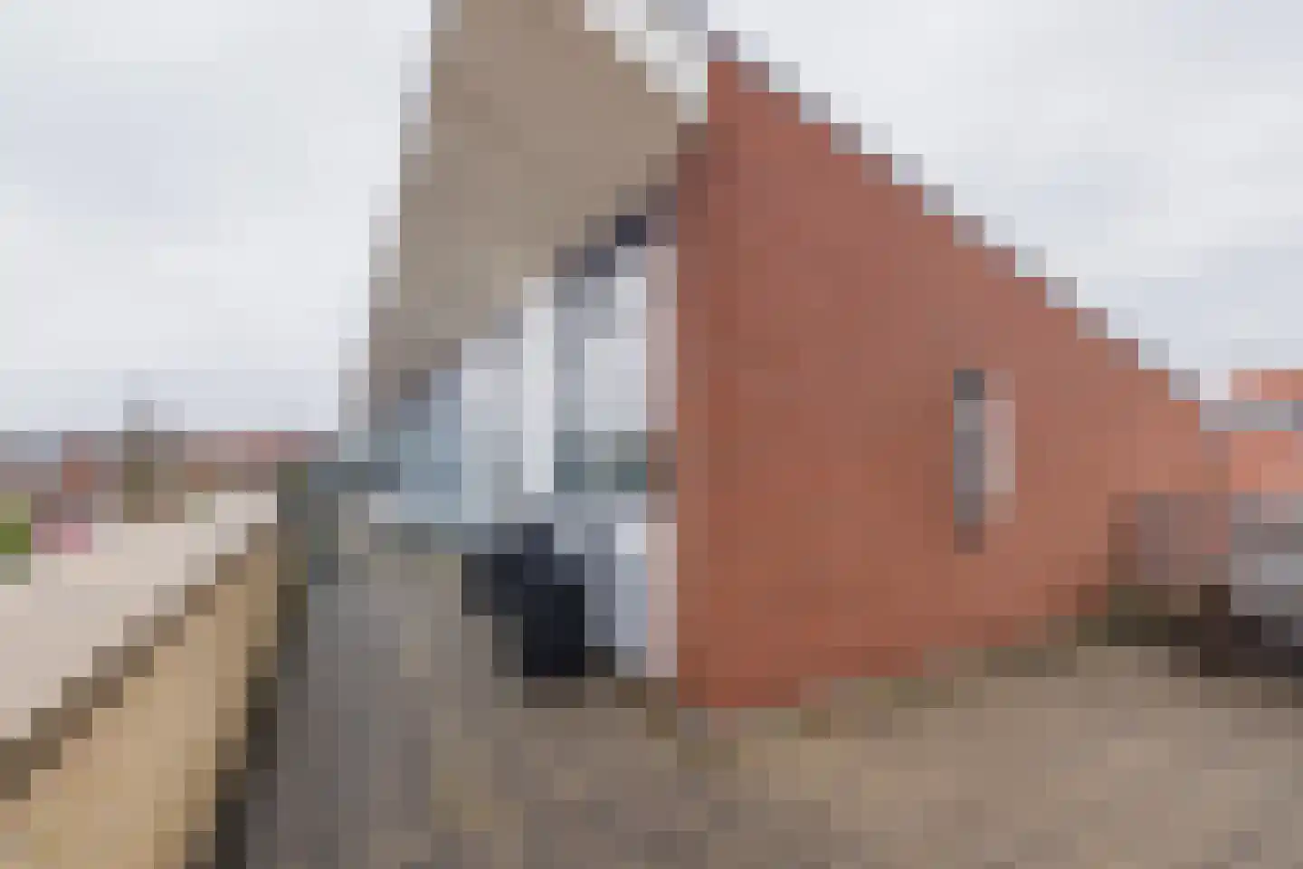 Burgemeester Hermanslaan 14 Hillegom thumbnail 50
