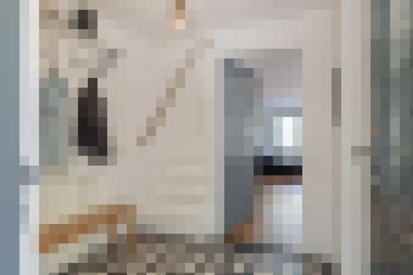 Burgemeester Hermanslaan 23 Hillegom thumbnail 5