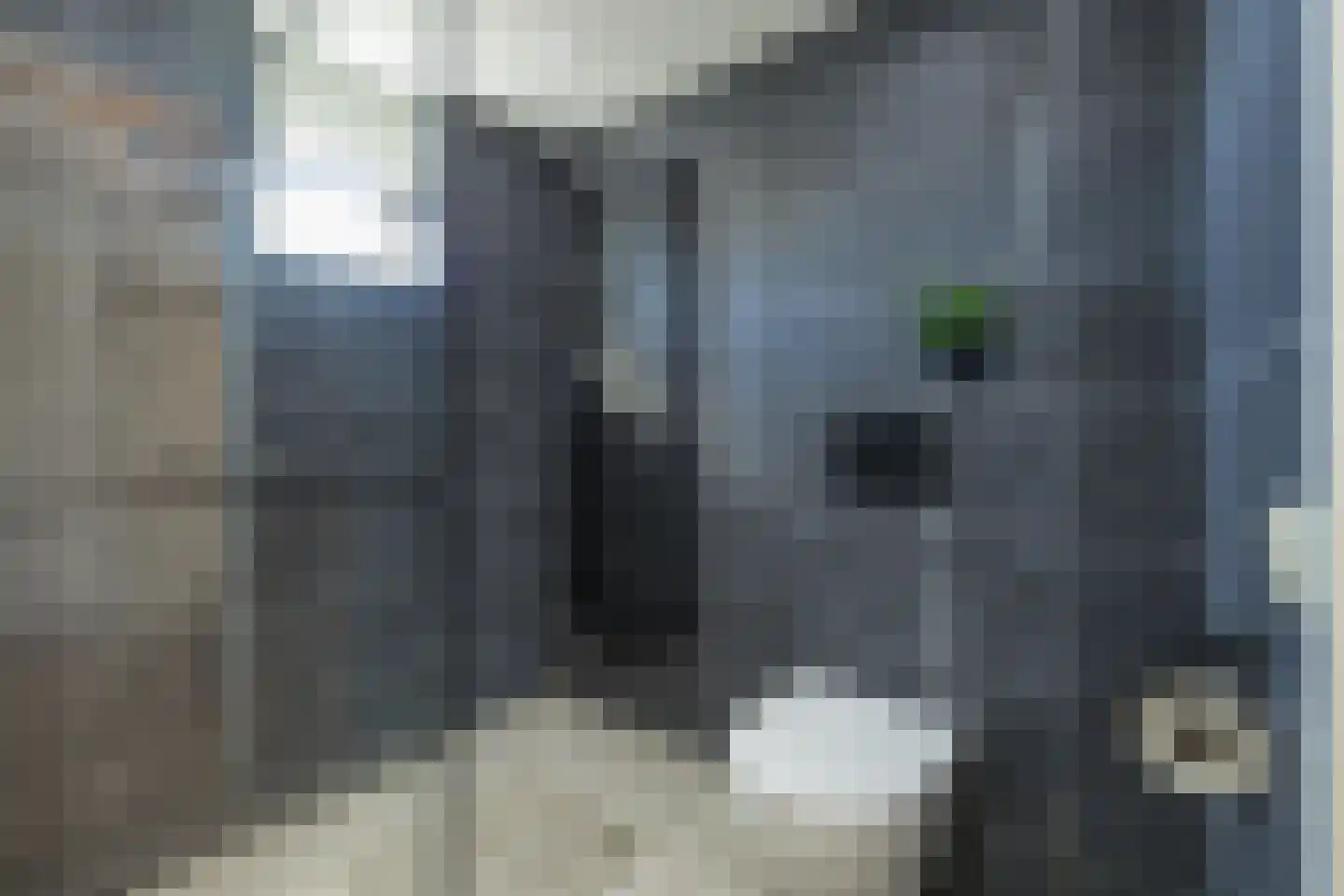 Burgemeester Hermanslaan 3 Hillegom thumbnail 38