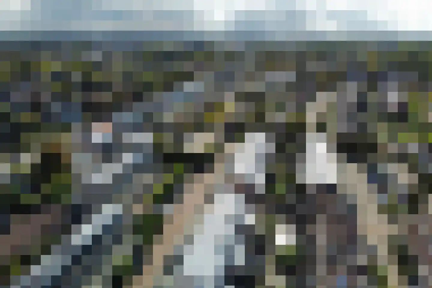 Burgemeester Hermanslaan 3 Hillegom thumbnail 59
