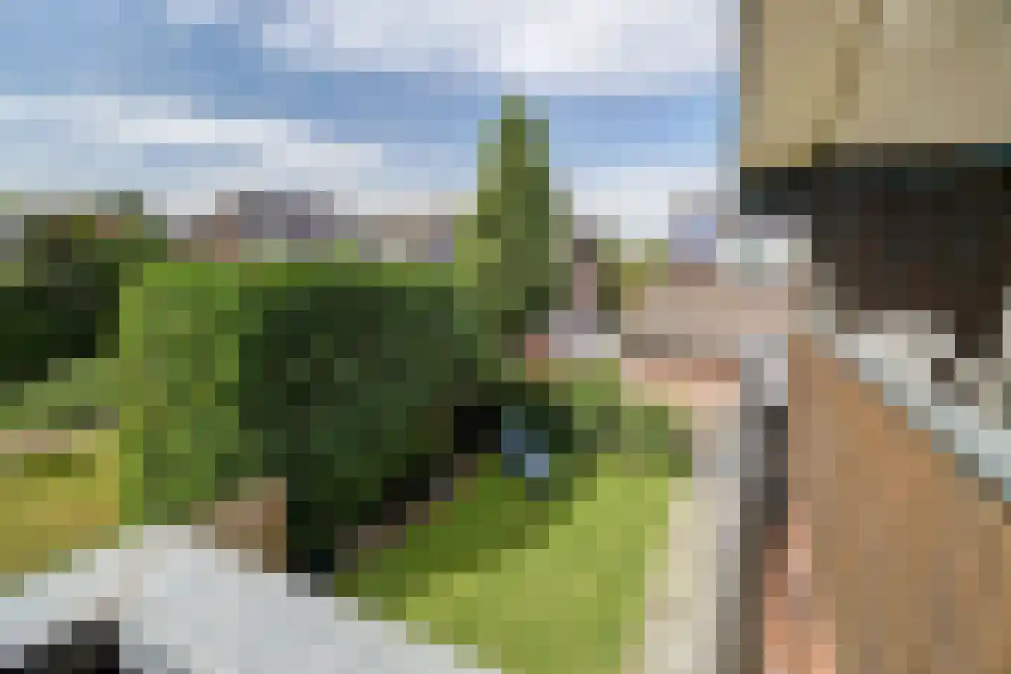 Burgemeester Hermsenstraat 98 b Millingen aan de Rijn thumbnail 32