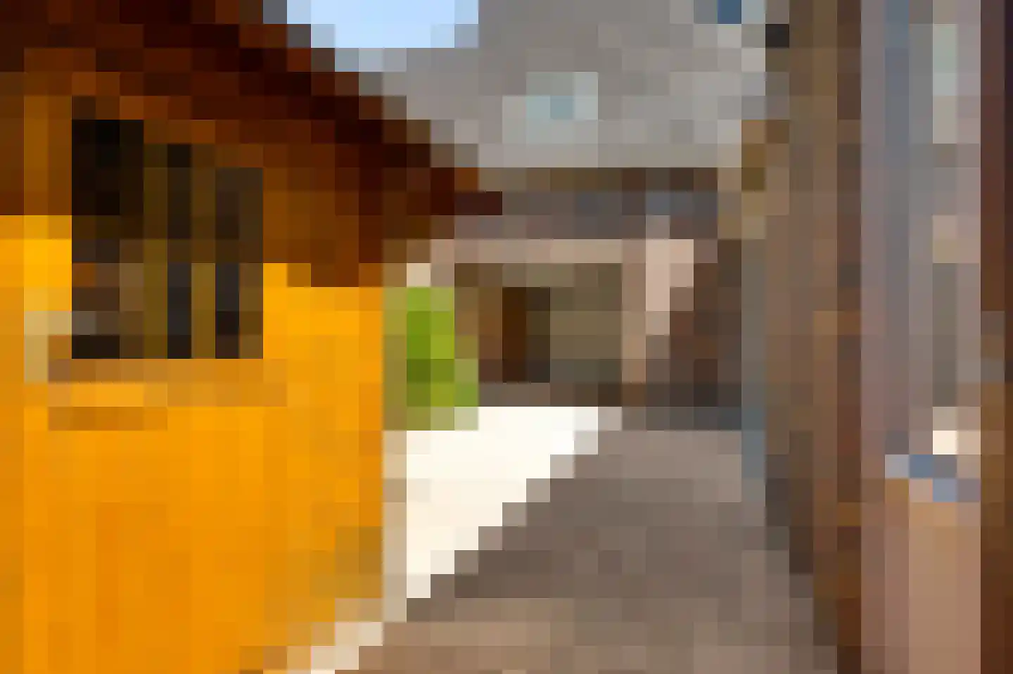 Burgemeester Hoeijmakersstraat 1 Stramproy thumbnail 25