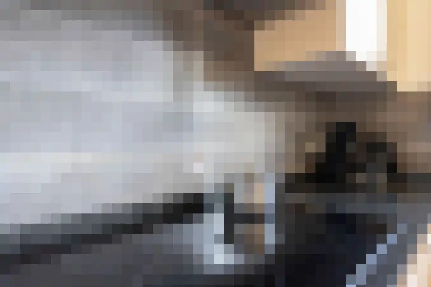 Burgemeester Hoeijmakersstraat 3 Stramproy thumbnail 9