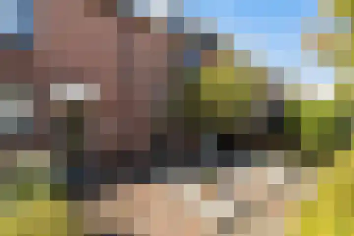 Burgemeester Hoekstrastraat 12 Nijkerk thumbnail 5