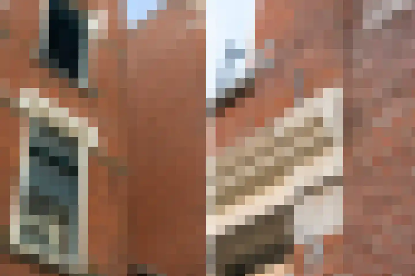 Burgemeester Hoffmanstraat 44 Rotterdam thumbnail 33
