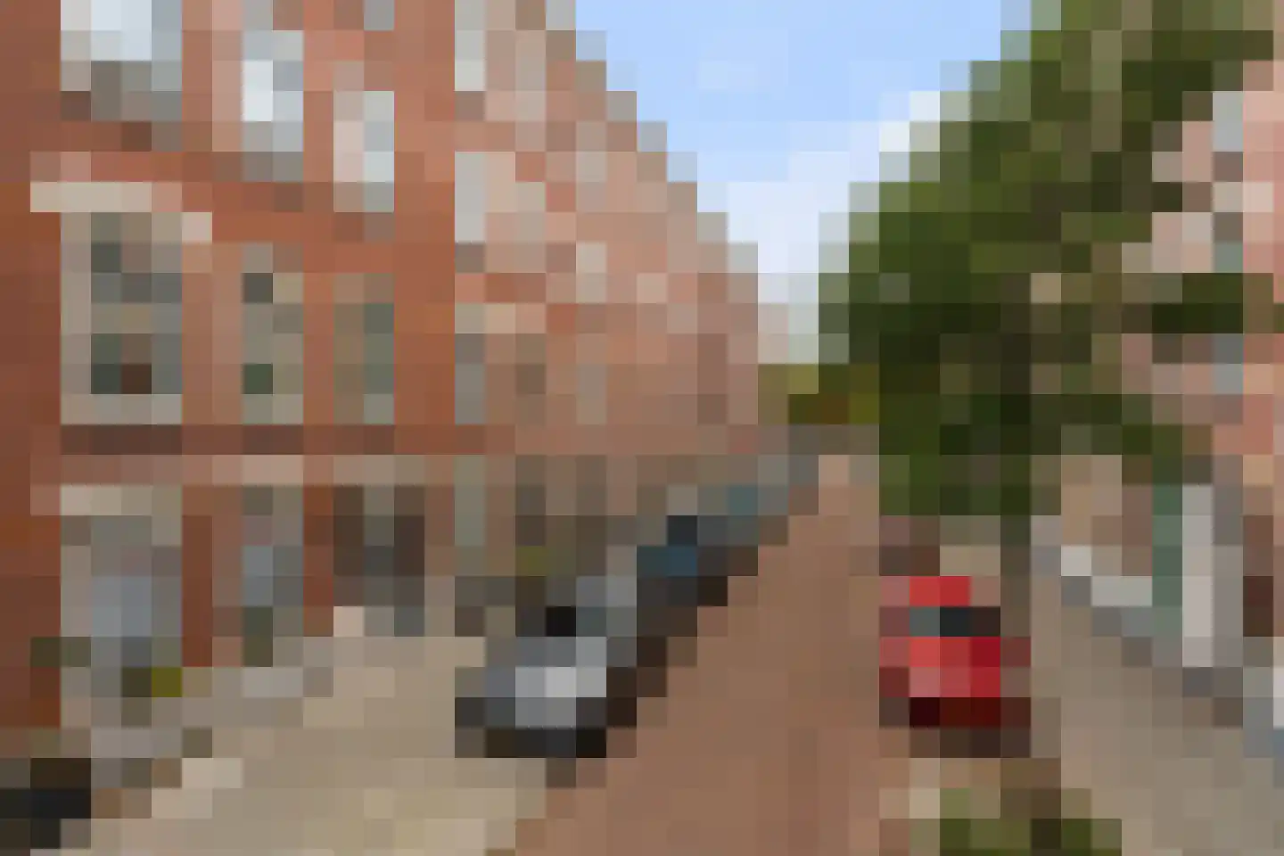 Burgemeester Hoffmanstraat 44 Rotterdam thumbnail 34