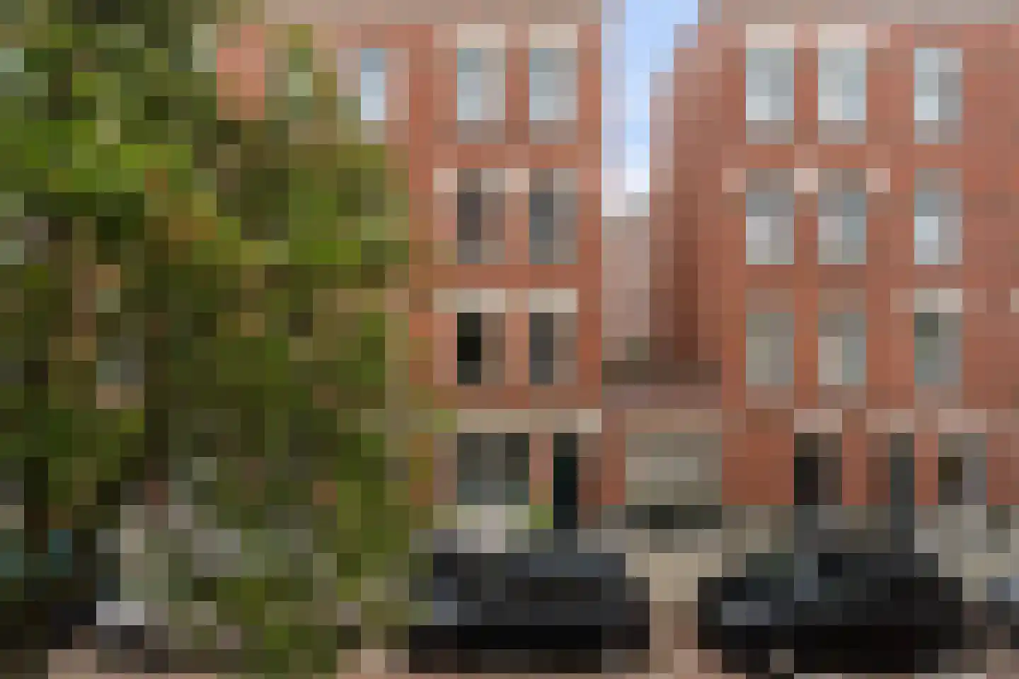 Burgemeester Hoffmanstraat 44 Rotterdam thumbnail 6