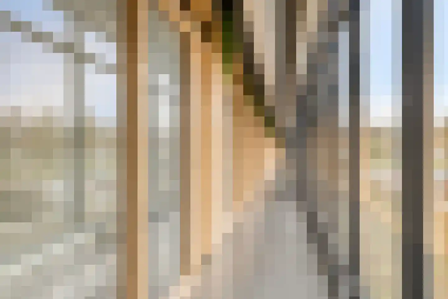 Burgemeester Hogguerstraat 1217 Amsterdam thumbnail 21
