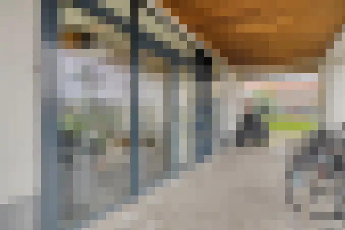 Burgemeester Hogguerstraat 1217 Amsterdam thumbnail 22