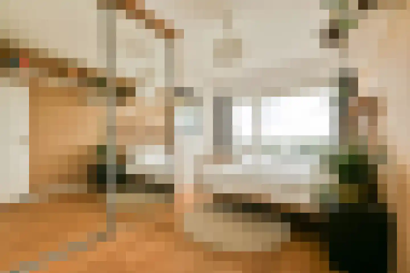 Burgemeester Hogguerstraat 329 Amsterdam thumbnail 10