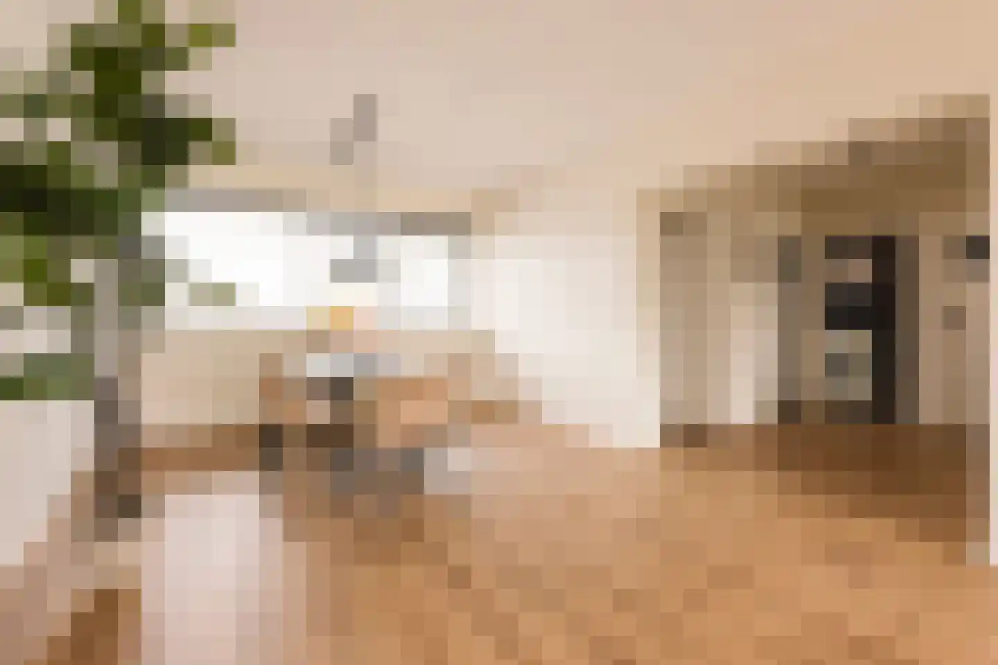 Burgemeester Hogguerstraat 467 Amsterdam thumbnail 13