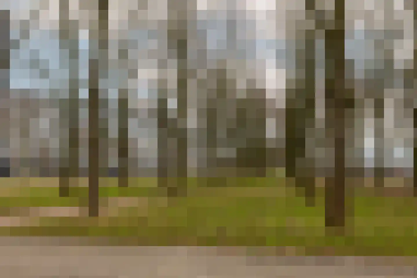 Burgemeester Hogguerstraat 467 Amsterdam thumbnail 22