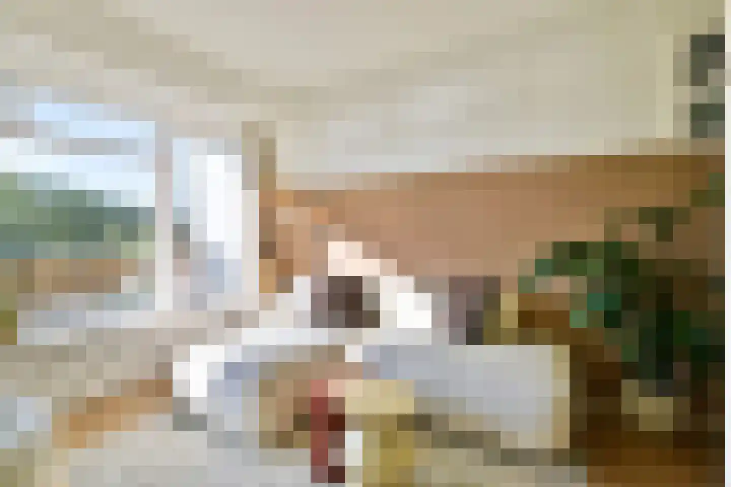Burgemeester Hogguerstraat 473 Amsterdam thumbnail 5