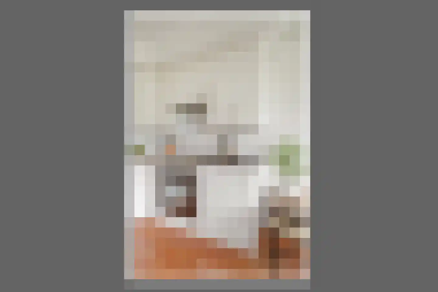 Burgemeester Hogguerstraat 497 Amsterdam thumbnail 13